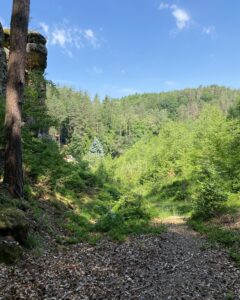 údolí Dolní Vidimi